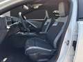 Opel Astra ST 1,2 Turbo MHEV Edition Aut. Weiß - thumbnail 9