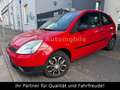Ford Fiesta 1,3 51 kW Viva 3.HAND*KLMAANLAGE*E-FENST. Rot - thumbnail 2