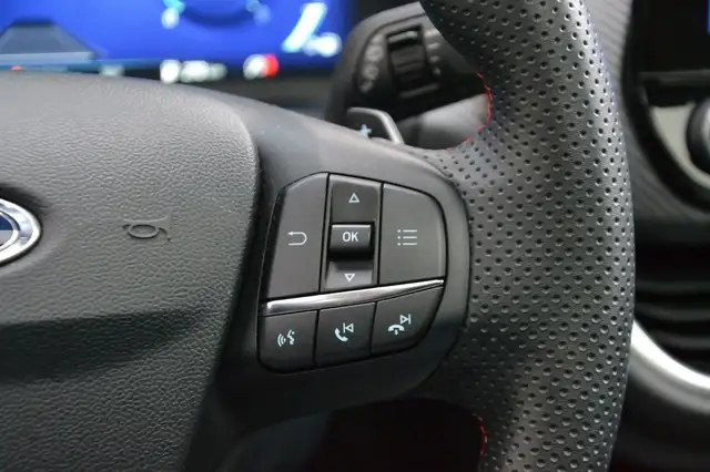 Ford Puma view 11