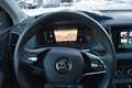 Skoda Karoq Tour 4x4 - thumbnail 19