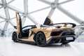 Lamborghini Aventador SVJ Roadster | Carbon Roof | Official Service Part Oro - thumbnail 2