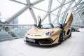 Lamborghini Aventador SVJ Roadster | Carbon Roof | Official Service Part Zlatna - thumbnail 12