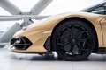 Lamborghini Aventador 6.5 V12 SVJ Roadster | Carbon Roof | Oro Elios | 1 Goud - thumbnail 32