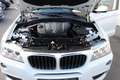 BMW X3 xDrive 20 d Aut M-Sportpaket TOP GEPFLEGT! Weiß - thumbnail 12