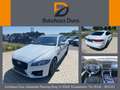 Jaguar XF 30d R-Sport Limo Aut. Navi+Leder+Panorama+Shz Blanco - thumbnail 1