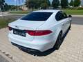 Jaguar XF 30d R-Sport Limo Aut. Navi+Leder+Panorama+Shz Wit - thumbnail 3