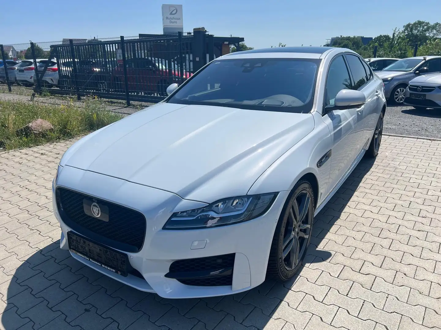 Jaguar XF 30d R-Sport Limo Aut. Navi+Leder+Panorama+Shz Blanc - 2