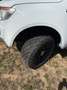 Ford Ranger Limited Doppelkabine 4x4 Weiß - thumbnail 14