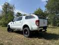 Ford Ranger Limited Doppelkabine 4x4 Weiß - thumbnail 5