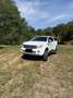 Ford Ranger Limited Doppelkabine 4x4 Weiß - thumbnail 3