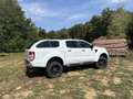 Ford Ranger Limited Doppelkabine 4x4 Weiß - thumbnail 8