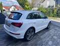 Audi SQ5 3.0 TDI competition quattro Weiß - thumbnail 5
