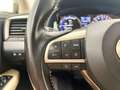 Lexus RX 450h 450 h  L BUSINESS Grijs - thumbnail 32