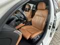 BMW 530 d M SPORT SITZBELÜF+PANO+ACC+360+HUD+FernPark Weiß - thumbnail 14