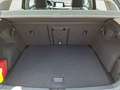 Volkswagen Golf 1.0 eTSI OPF DSG Life PanoDach MatrixLED HU Grau - thumbnail 13