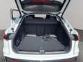 Audi Q5 Sportback 2.0 TDI quattro S Line Matrix Navi 2MMI Weiß - thumbnail 18
