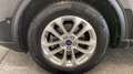 Ford Kuga KUGA 2.0 ECOBLUE 120CV BVA 4x4 TITANIUM X - thumbnail 20