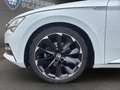 Skoda Superb 2.0 TSI DSG Lim. Sportline NAVI*ACC*PANO Klima Weiß - thumbnail 10