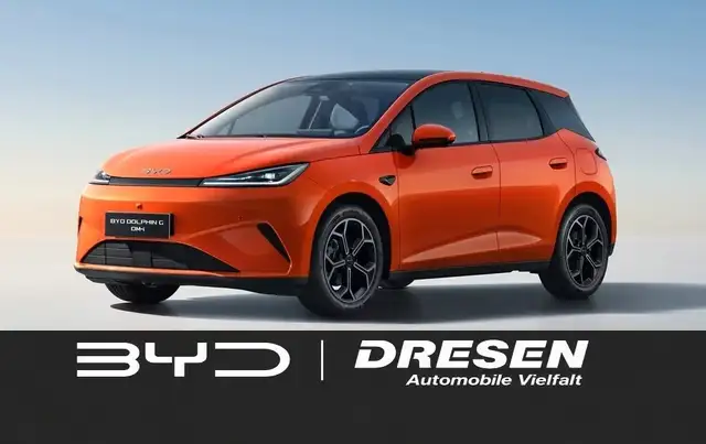 BYD Sonstige