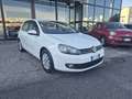 Volkswagen Golf 1.6 TDI DPF 5p. Highline Bianco - thumbnail 3