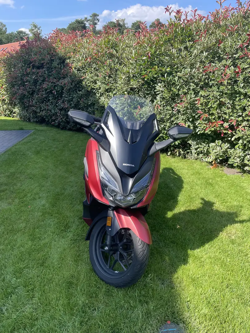 Honda Forza 125 - 1