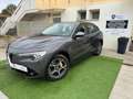 Alfa Romeo Stelvio 2.2 t Super Q4 210cv auto Gris - thumbnail 1