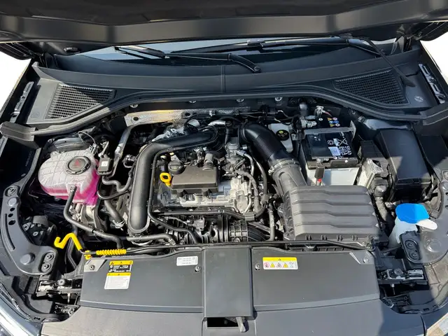 Volkswagen T-Roc view 12