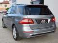 Mercedes-Benz ML 350 ML 350 CDI BlueTec | P-Dach Grau - thumbnail 8