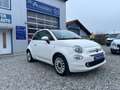 Fiat 500 Lounge 1.2 KLIMA PANORAMA-DACH TEMPOMAT Blanc - thumbnail 8