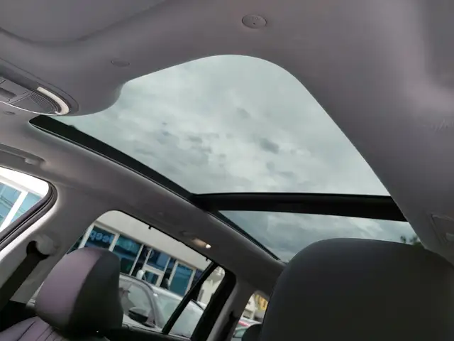 Hyundai IONIQ 9 Calligraphy 110 kWh 4WD Ansicht 16