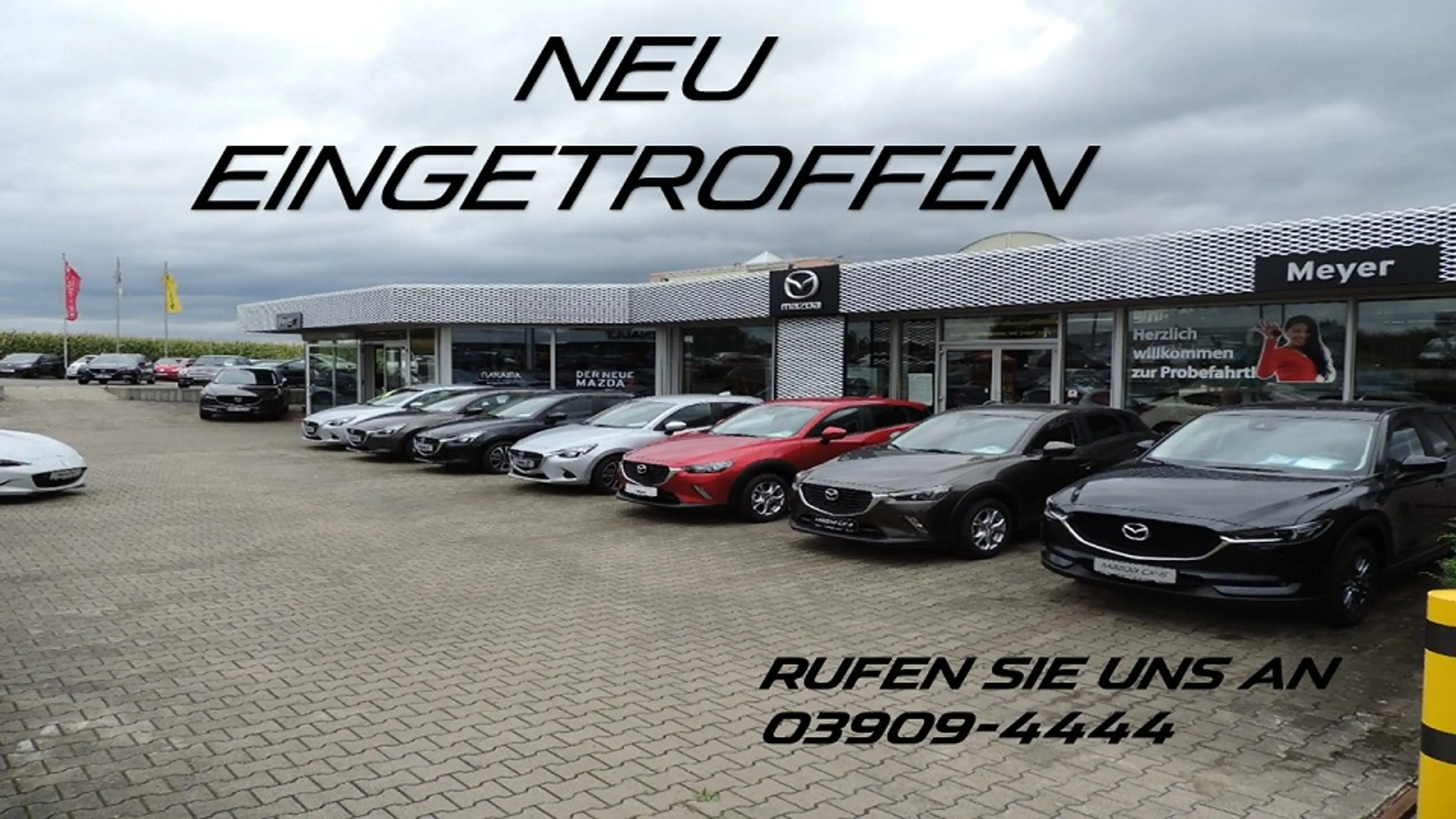 Opel Zafira Life Selection Selection L (L3)