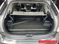 Toyota Prius+ Hybrid Executive 7-Sitzer HUD El. Panodach Navi So Gris - thumbnail 17