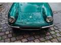 Lotus Elite ELITE Grün - thumbnail 7