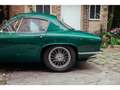 Lotus Elite ELITE Vert - thumbnail 5