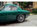 Lotus Elite ELITE Grün - thumbnail 4