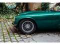 Lotus Elite ELITE Grün - thumbnail 2