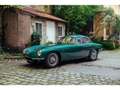 Lotus Elite ELITE Vert - thumbnail 1