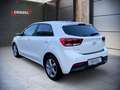 Kia Rio 1,0 TGDI GPF Gol Weiß - thumbnail 7