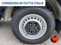 Iveco Daily 35 S14 N.P 3.0 CNG L4 CABINATO BOX METANO BENZINA Blanc - thumbnail 21