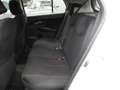 Toyota Urban Cruiser 1.4 D-4D AWD Sol -OK NEOPATEN.- UNICO PROPRIETARIO Bianco - thumbnail 11