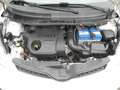Toyota Urban Cruiser 1.4 D-4D AWD Sol -OK NEOPATEN.- UNICO PROPRIETARIO Bianco - thumbnail 13