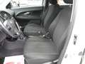 Toyota Urban Cruiser 1.4 D-4D AWD Sol -OK NEOPATEN.- UNICO PROPRIETARIO Bianco - thumbnail 10