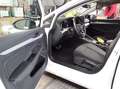 Volkswagen Golf VIII Goal 1.5 eTSI DSG / App, LED, ACC, SHZ Weiß - thumbnail 6