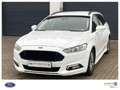 Ford Mondeo ST-Line Weiß - thumbnail 1