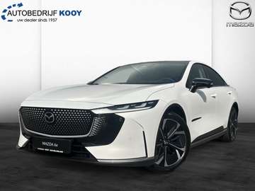 Takumi Business Edition / 560 km Actieradius / 258