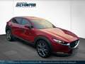 Mazda CX-30 L SKYACTIV-X 2.0 M Hybrid 6AG AL-SELECTION A18-B D Rot - thumbnail 3