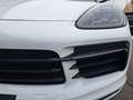Porsche Cayenne III Aut. *PANO*21"* Weiß - thumbnail 12