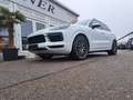 Porsche Cayenne III Aut. *PANO*21"* Weiß - thumbnail 14