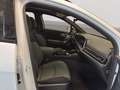 Kia Sportage 1.6T-GDI 48V DCT7 Nightline Navi Leder digitales C Blanc - thumbnail 9