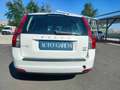 Volvo V50 1.6d drive Polar s NEOPATENTATI cinghia nuova Alb - thumbnail 6